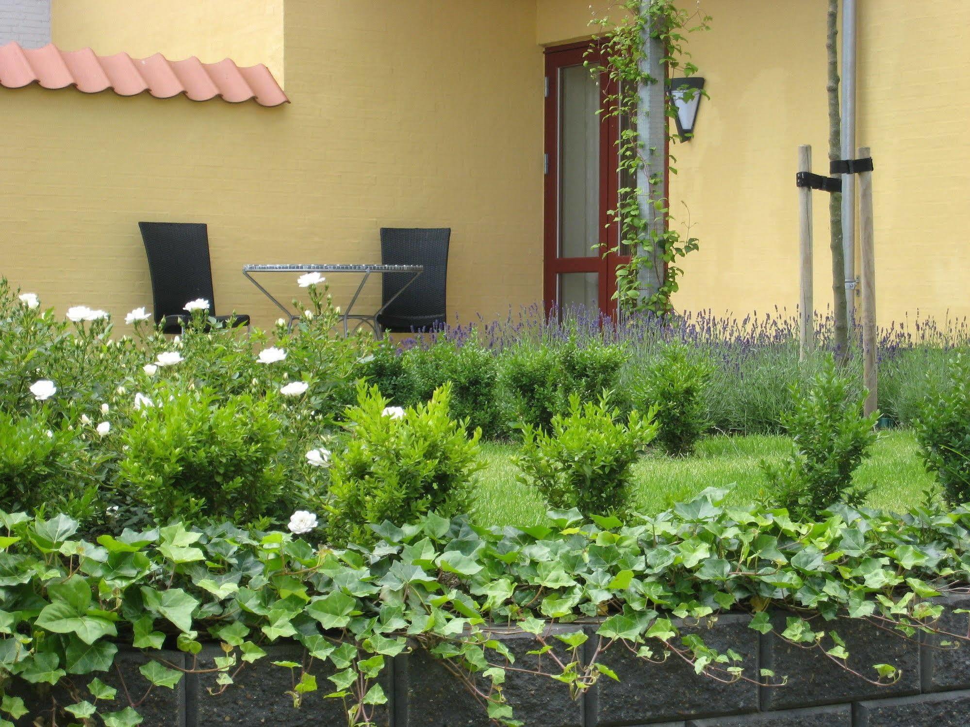 Hotel Borgmestergaarden Middelfart Exterior foto